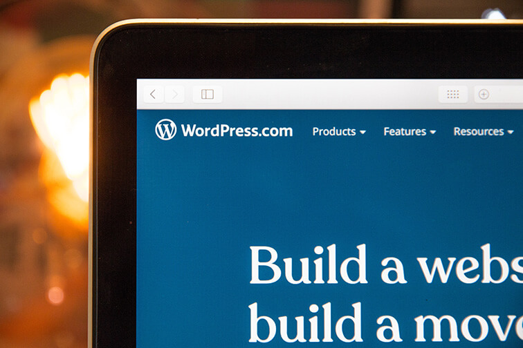 Creating a website on WordPress, installing the necessary plugins